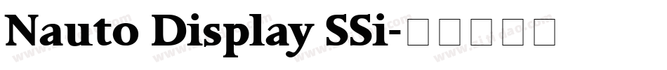 Nauto Display SSi字体转换